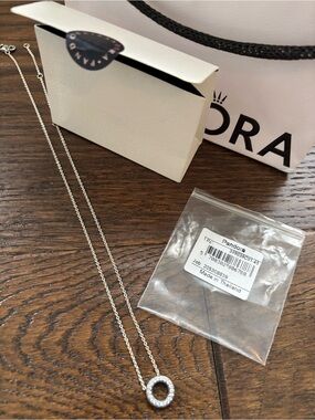 Pandora Silver Pavé Circle Pendant Necklace